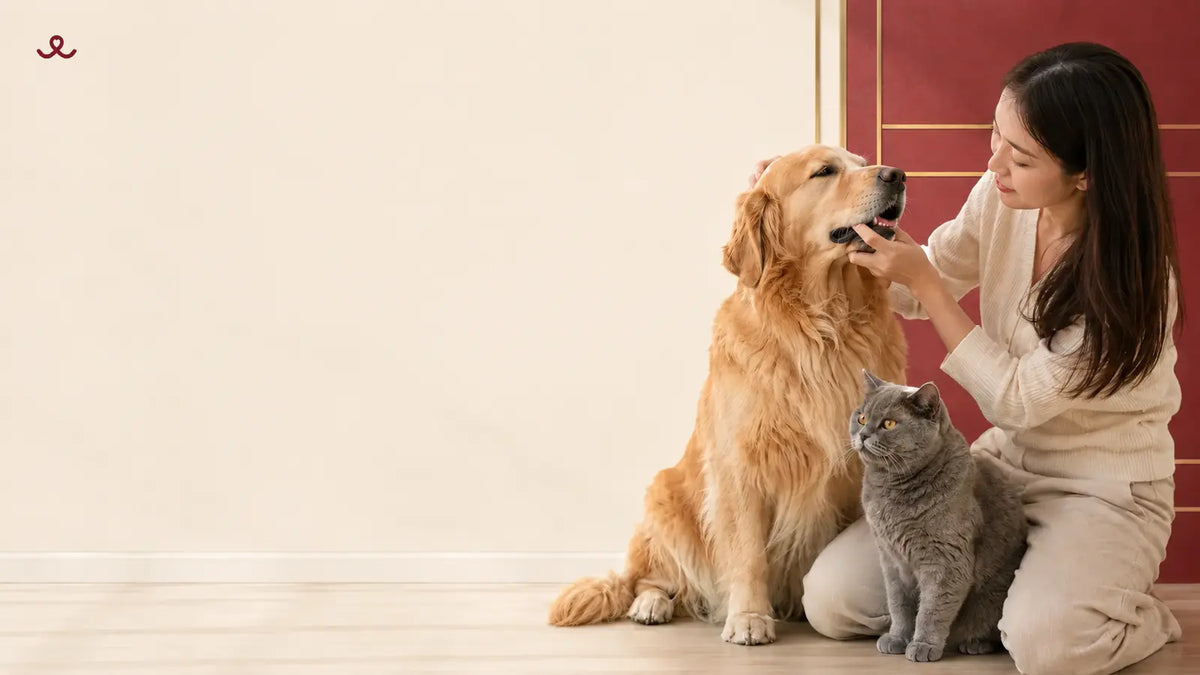 Dog and cat owner checking pet bad breath and digestive health – RoyalHugge Malaysia