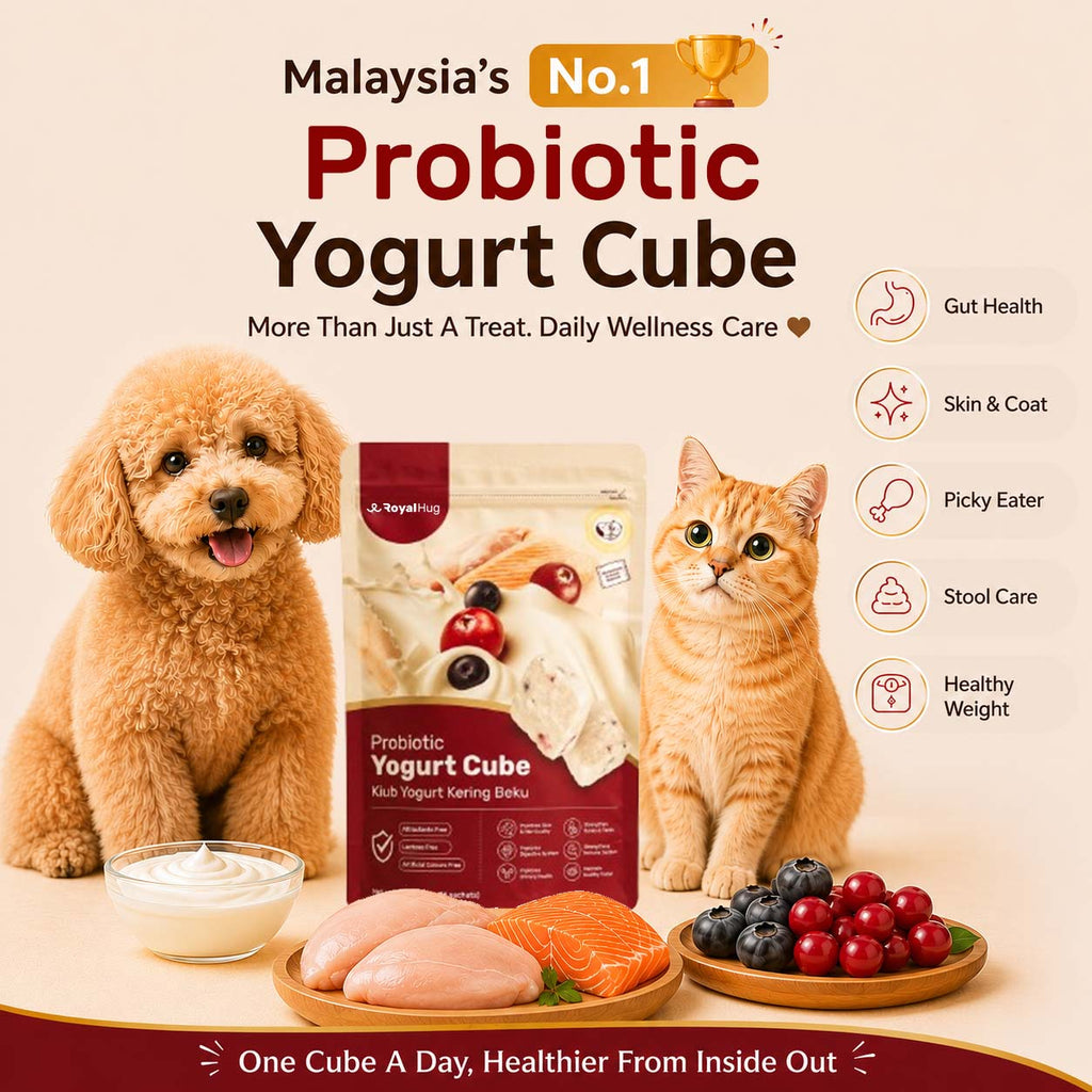 Probiotic Yogurt Cube