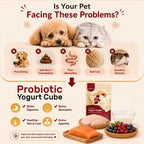 Probiotic Yogurt Cube
