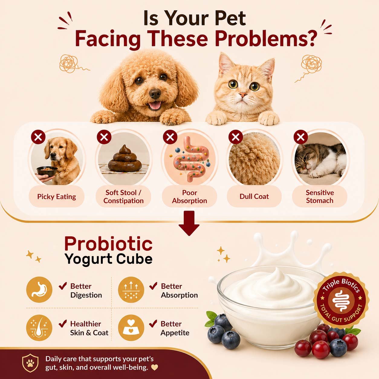 Biotics+ Yogurt Cube