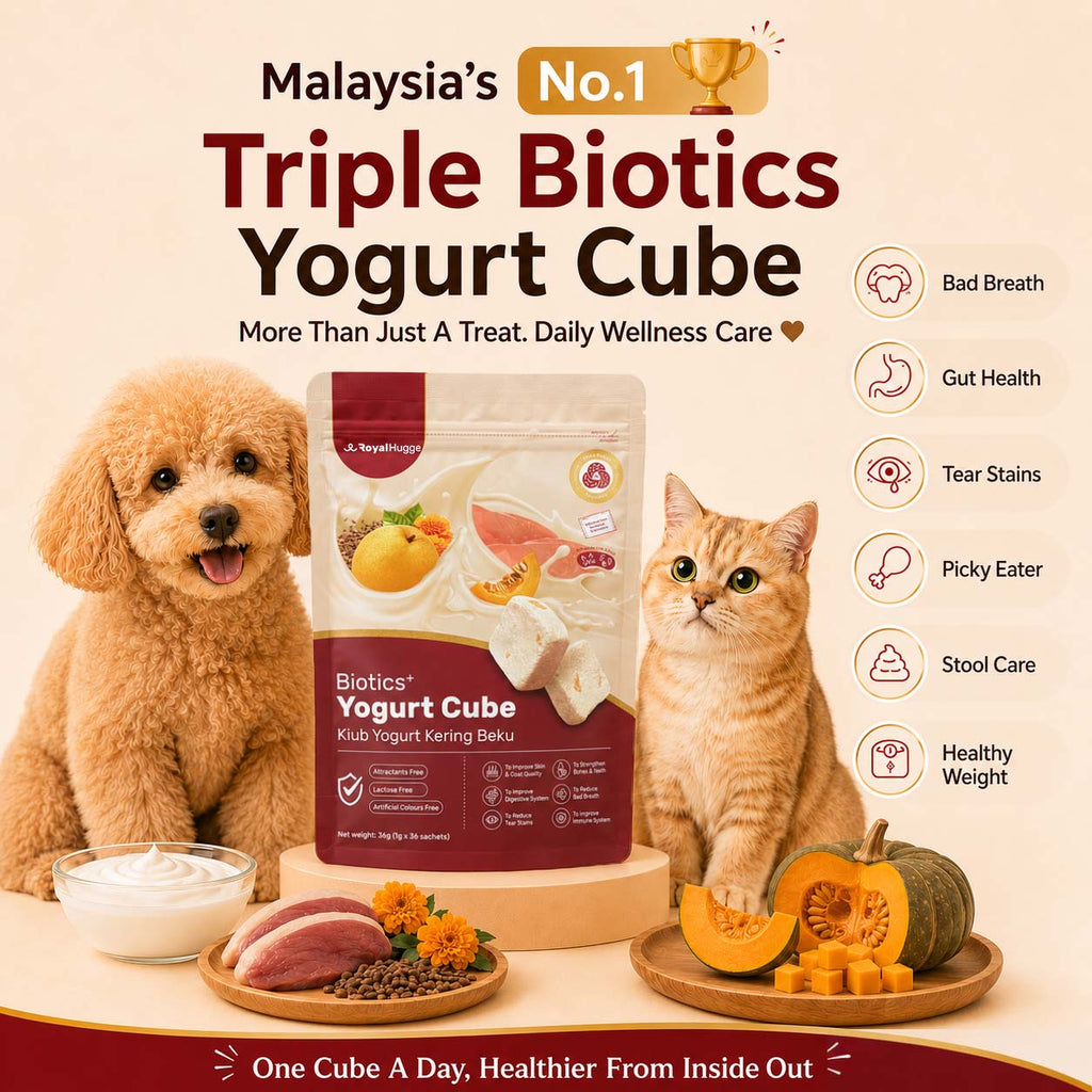 RoyalHugge Biotics+ Triple Biotics Yogurt Cube for daily pet wellness in Malaysia & Singapore
