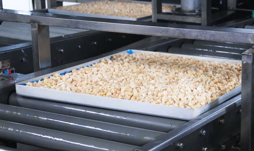 RoyalHugge freeze-dried pet food cubes on a production line