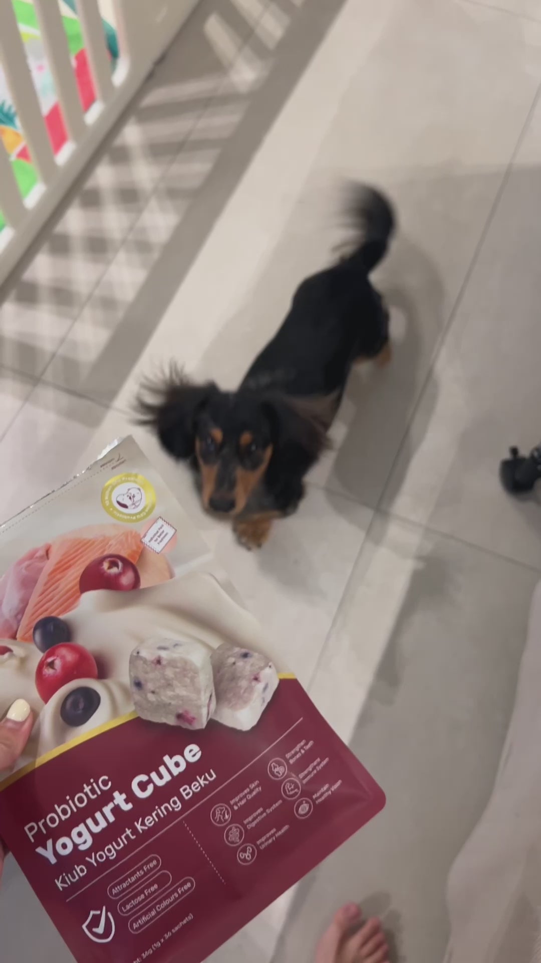 royalhugge probiotic yogurt cube chloe en