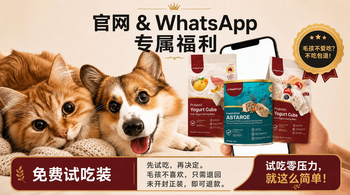 royalhugge-不吃包退活动， 益生菌酸奶冻干 astaroe 主食冻干