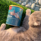 Cat resting beside RoyalHugge AstaRoe Complete Meal