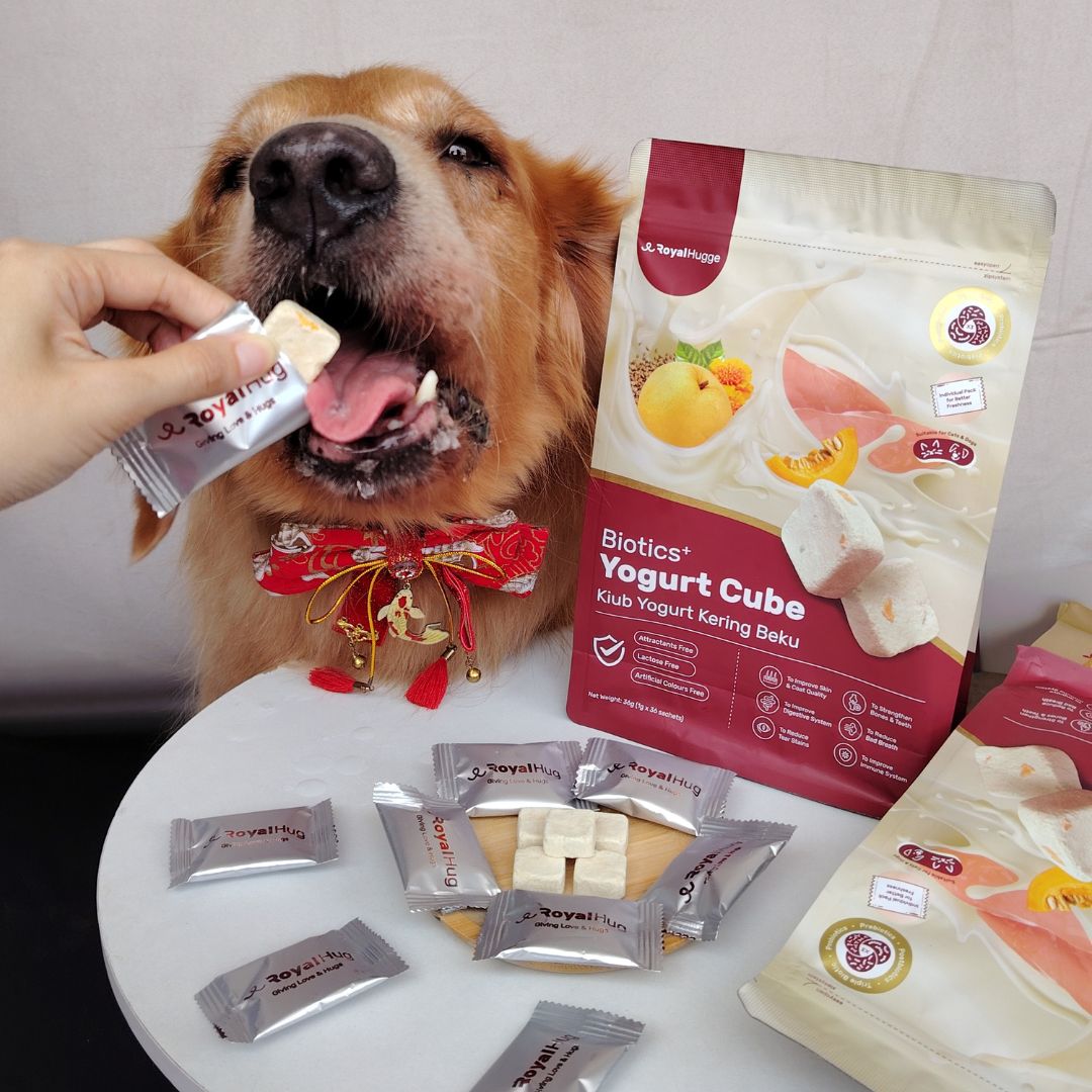 Biotics+ Yogurt Cube