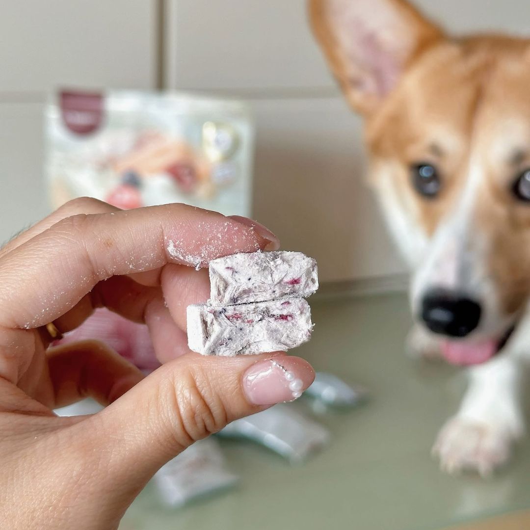 Probiotic Yogurt Cube