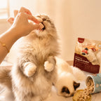 Cats enjoying RoyalHugge Probiotic Yogurt Cube Triple Biotics Yogurt Cube