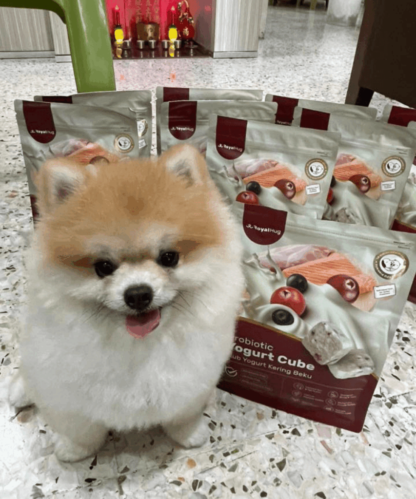 royalhug probiotic yogurt cube dog 3