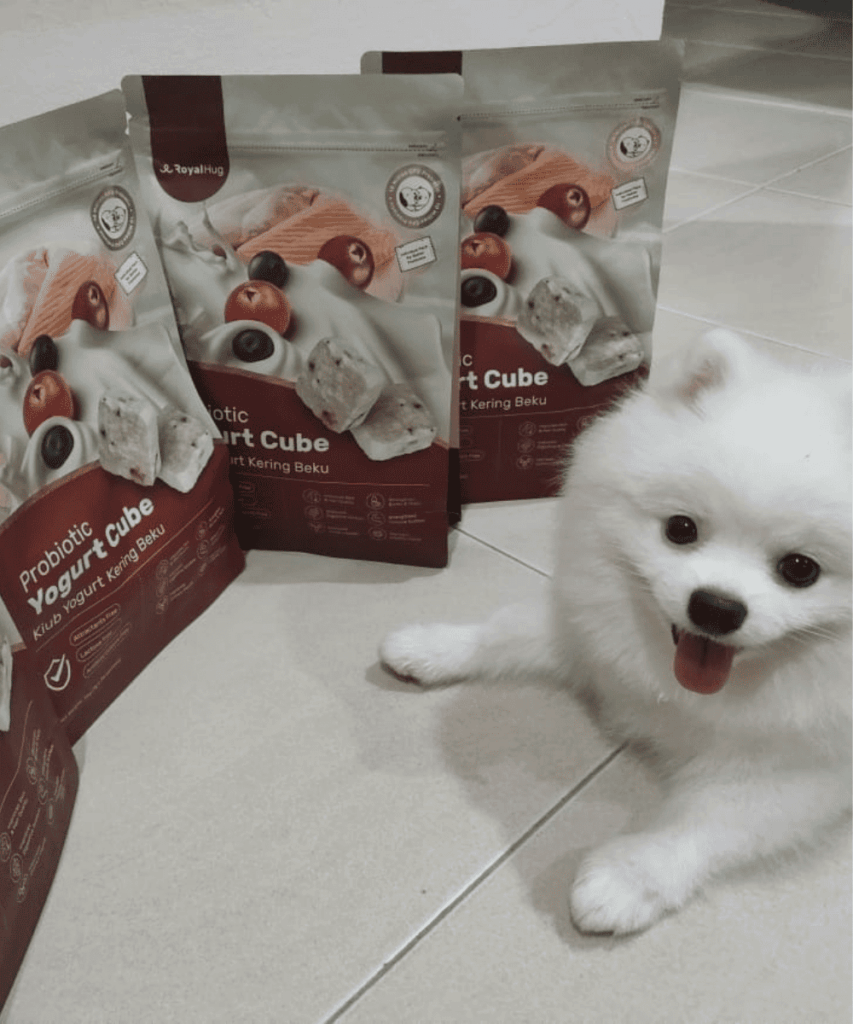 royalhug probiotic yogurt cube dog 4