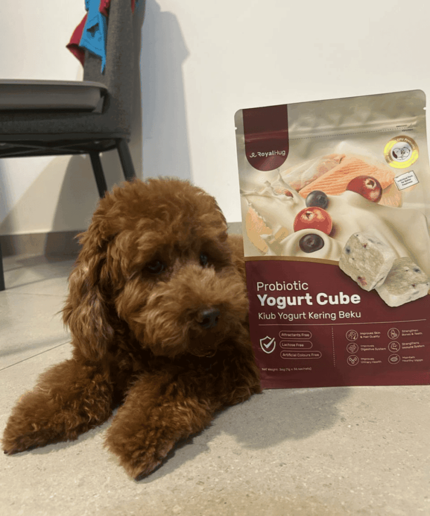 royalhug probiotic yogurt cube dog 5