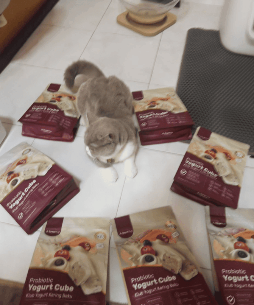 royalhugge probiotic yogurt cube cat 18