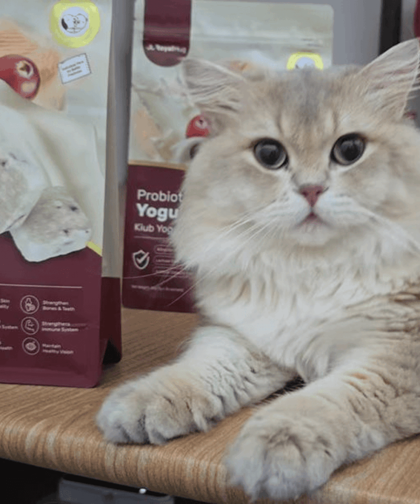 royalhugge probiotic yogurt cube cat 19