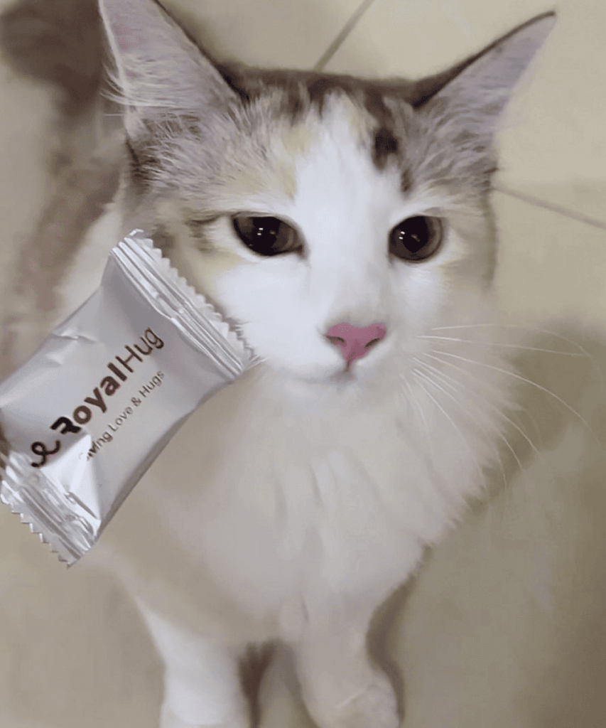 royalhugge probiotic yogurt cube cat 21