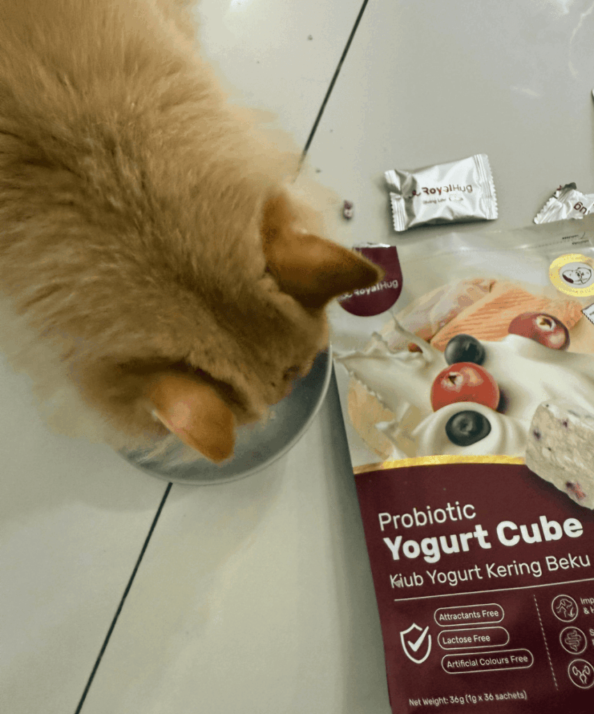 royalhugge probiotic yogurt cube cat 22