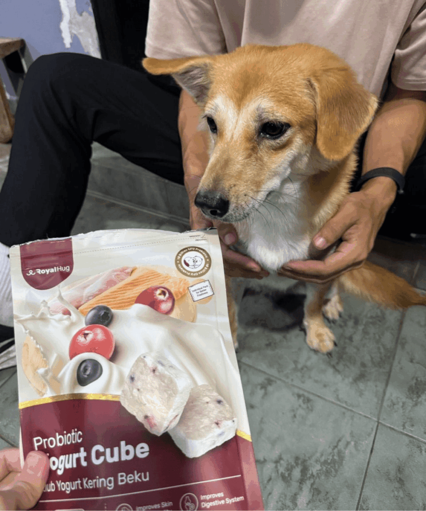 royalhugge probiotic yogurt cube dog 11