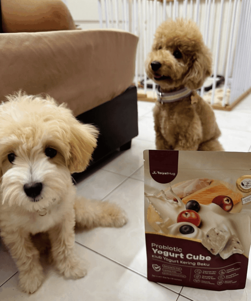 royalhugge probiotic yogurt cube dog 12