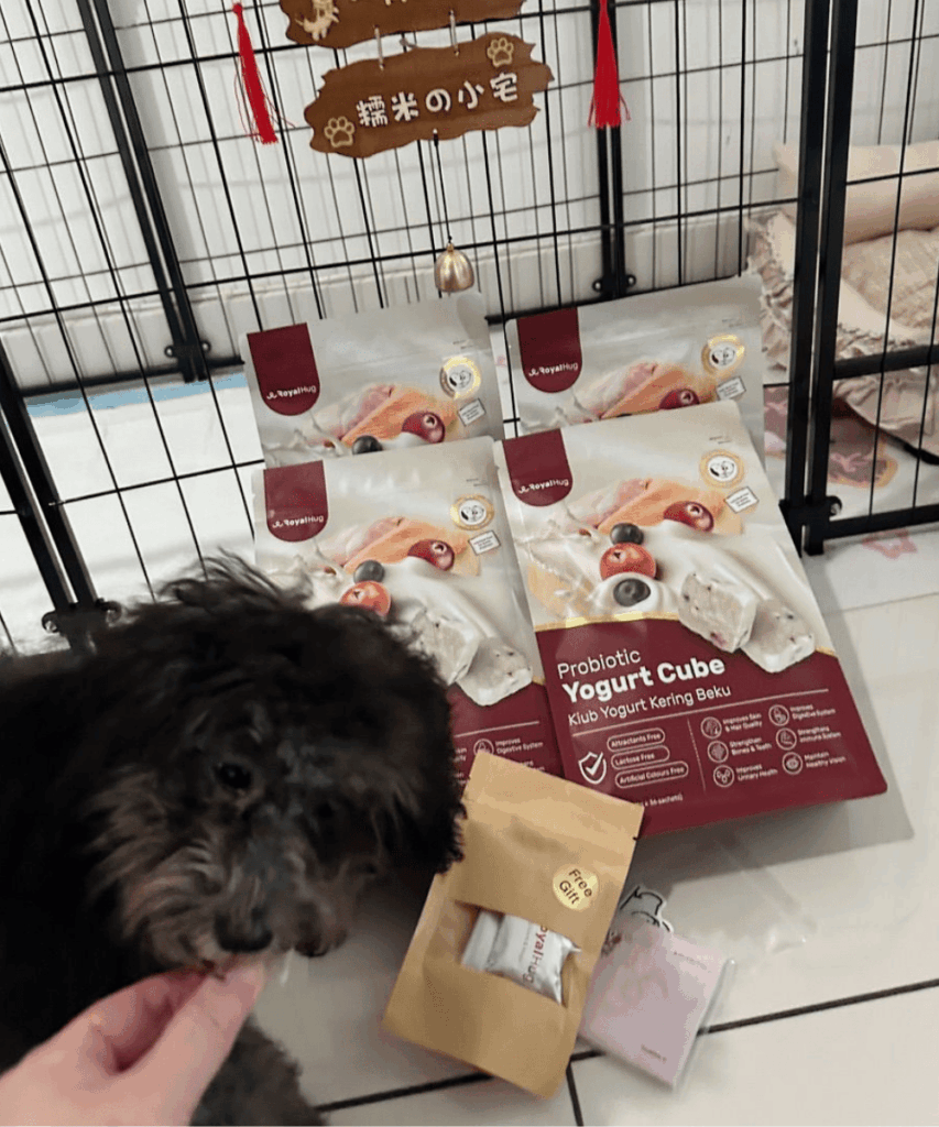 royalhugge probiotic yogurt cube dog 9