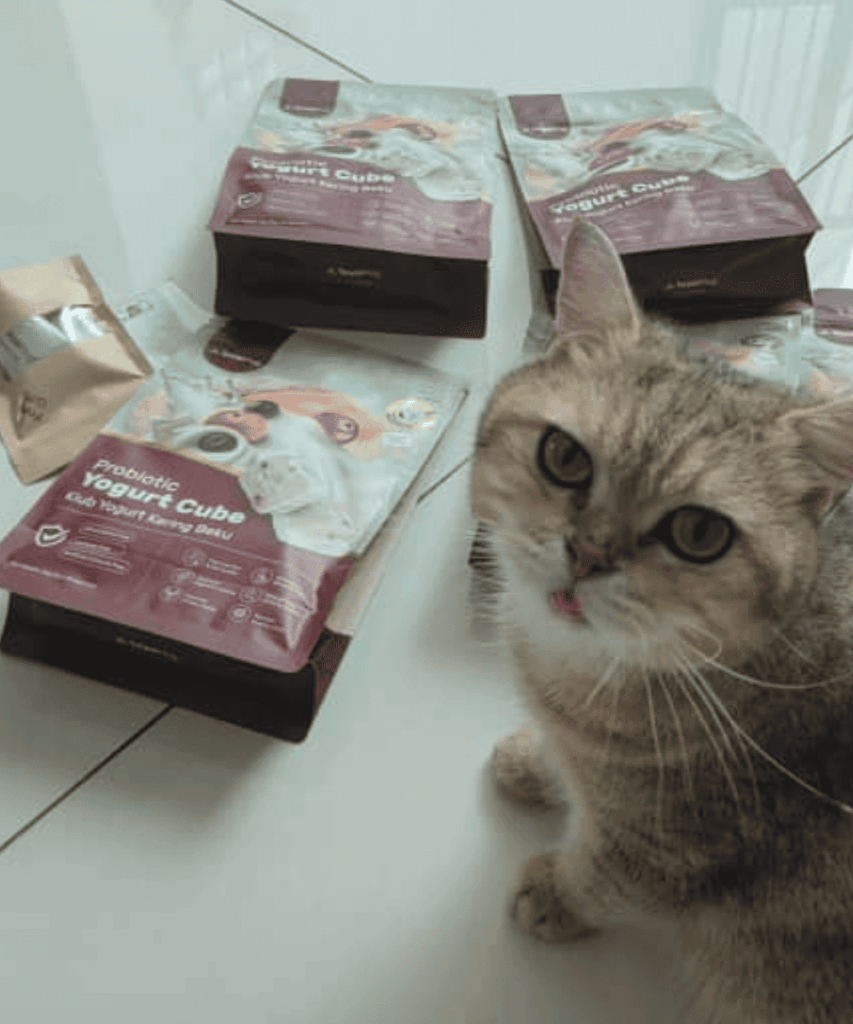 royalhugge 猫咪 益生菌酸奶冻干13