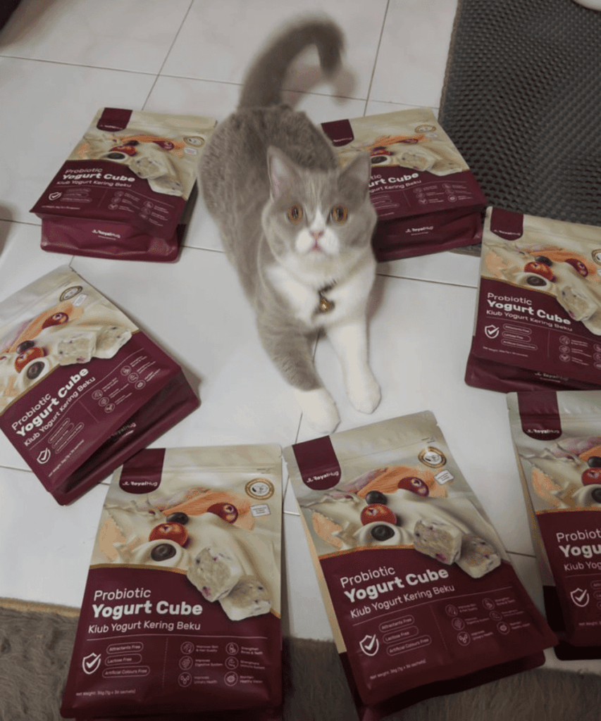 royalhugge 猫咪 益生菌酸奶冻干15